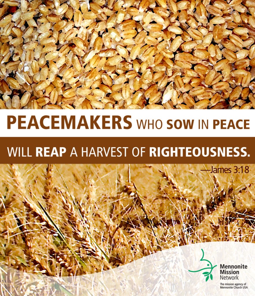 Peacemakers who sow in peace
