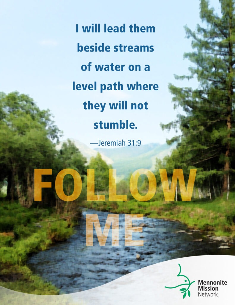 I will lead them