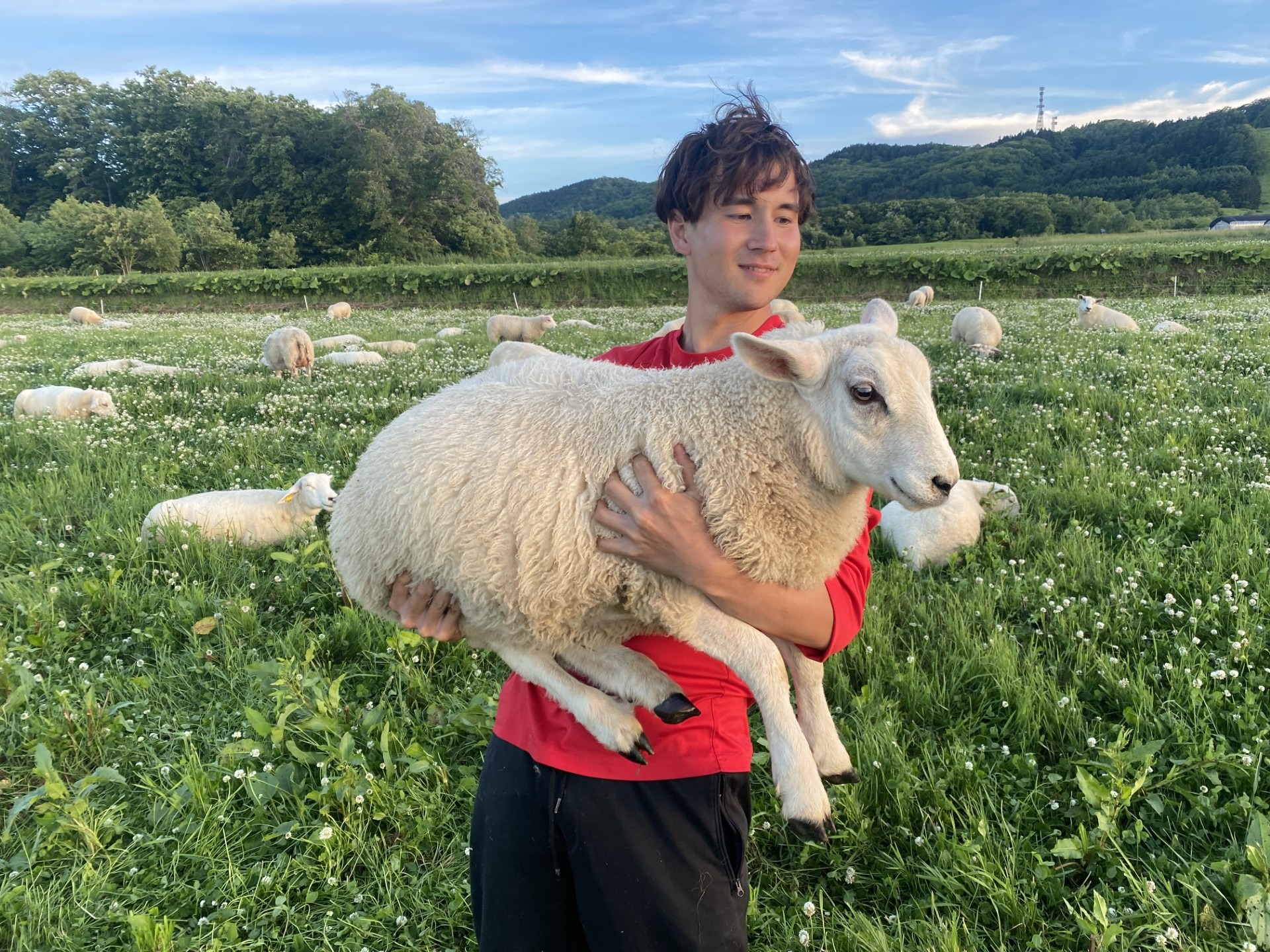 Yohei Epp tends to the nearly 100 sheep on the farm at Menno Village.