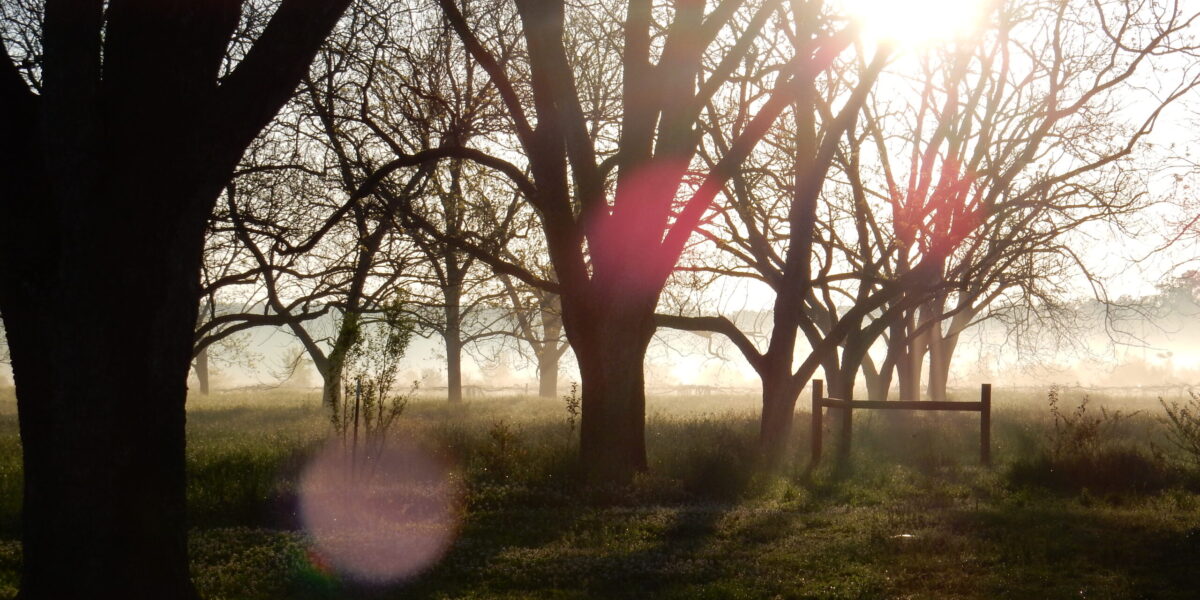 Sunrise