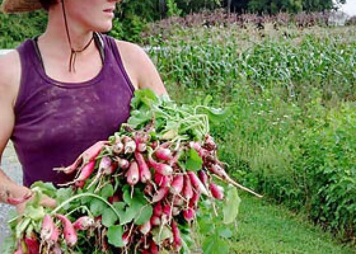 Krista Showalter Ehst