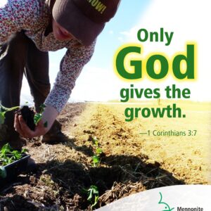 God gives growth