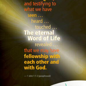 Declaring what we have seen