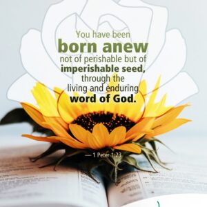 Imperishable seed
