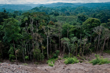 ​Thousands of Mennonites in Congo are hiding in the forest to escape the violence of government troops and militias. Photo named
