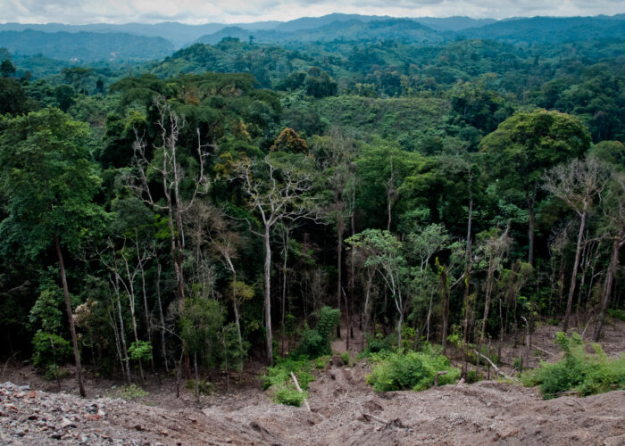 ​Thousands of Mennonites in Congo are hiding in the forest to escape the violence of government troops and militias. Photo named
