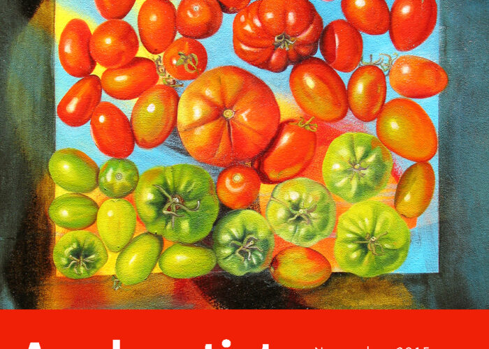 Anabaptist Witness cover