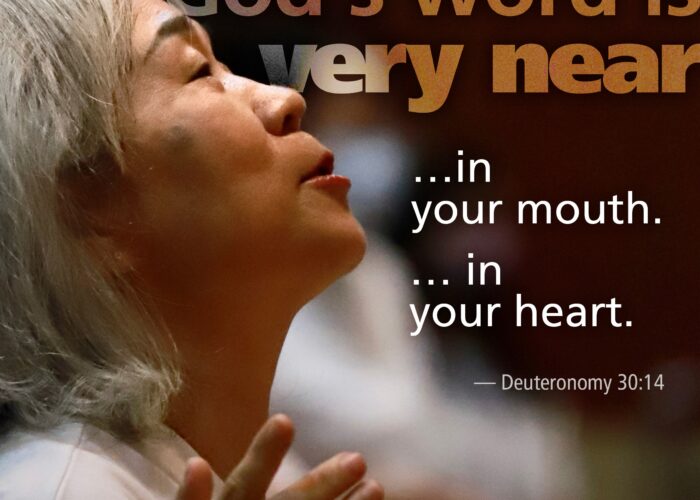 Deuteronomy30_14 copy