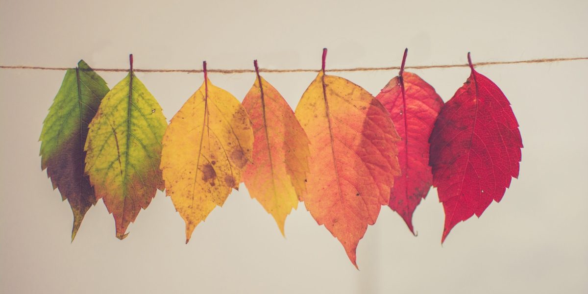 ​​Photo by Chris Lawton on Unsplash.
