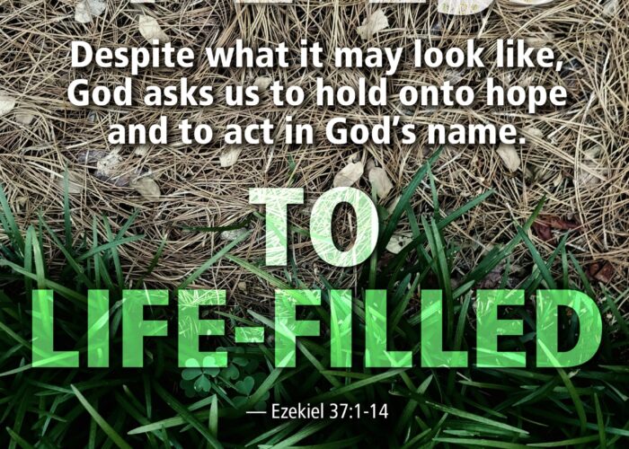 Lifeless to life-filled