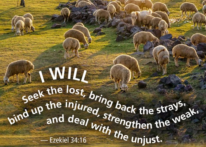 Ezekiel34_16 copy