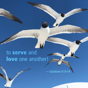 Freedom to serve and love