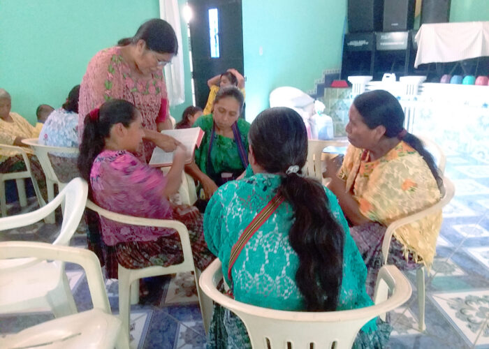 ​Kekchi leader Julia Xol (standing) helps four Kekchi leaders at Nuevo Chintun Mennonite Church in the Tucuru region in Guatemala to study a biblical text on the Holy Spirit. The leaders pictured here will then present the material at a Bible study day for Kekchi women at one of the Kekchi Mennonite churches. Photo by Deb Byler. 