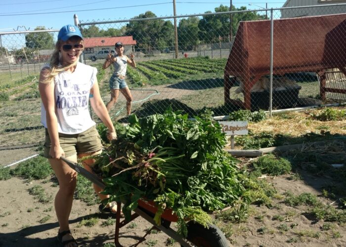 HealthyFoodAccess