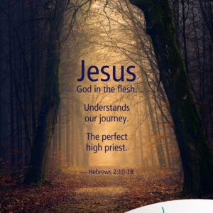 The perfect high priest