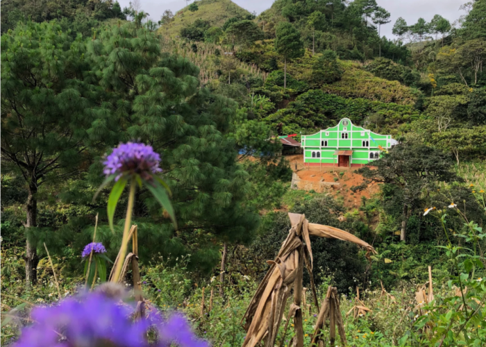 ​Mountainside beauty