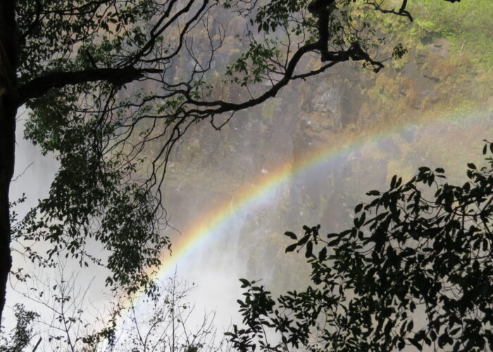 ​Photo by Stanley W. Green.