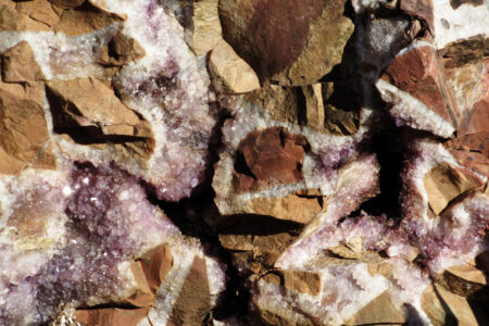 ​Photo provided by Cynthia Friesen Coyle. 