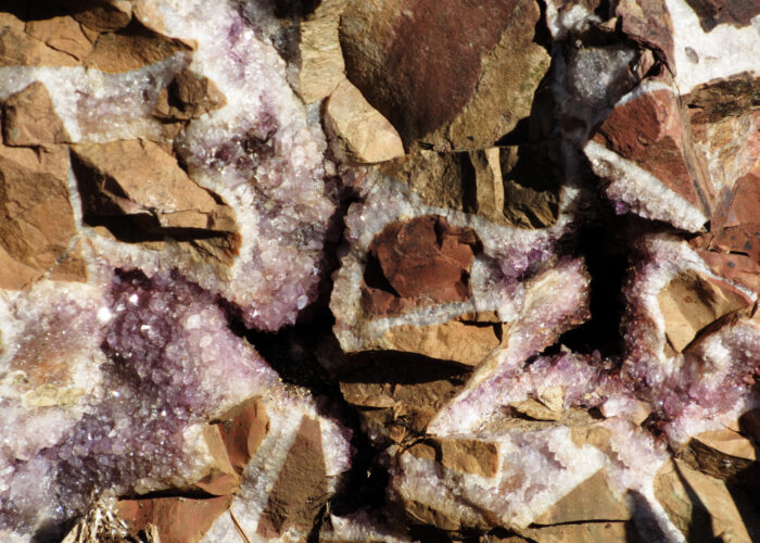 ​Photo provided by Cynthia Friesen Coyle. 