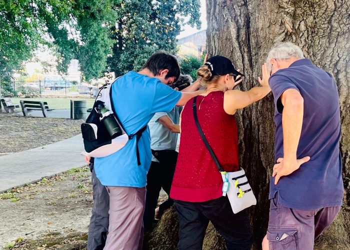 Praying at a lynching tree in Memphis. Issac Witmer, Rene Hostetter, and Art Stoltzfus