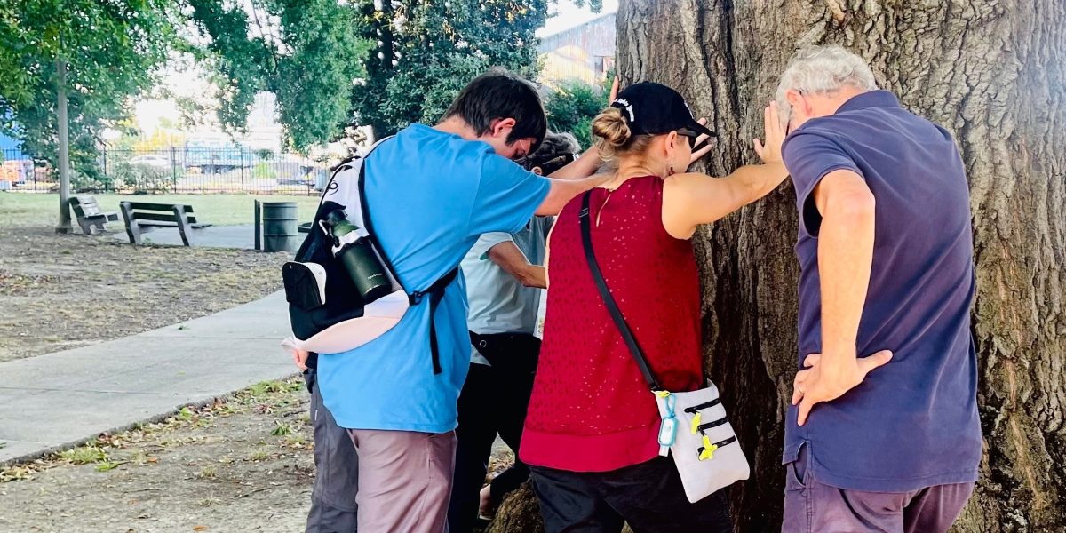 Praying at a lynching tree in Memphis. Issac Witmer, Rene Hostetter, and Art Stoltzfus