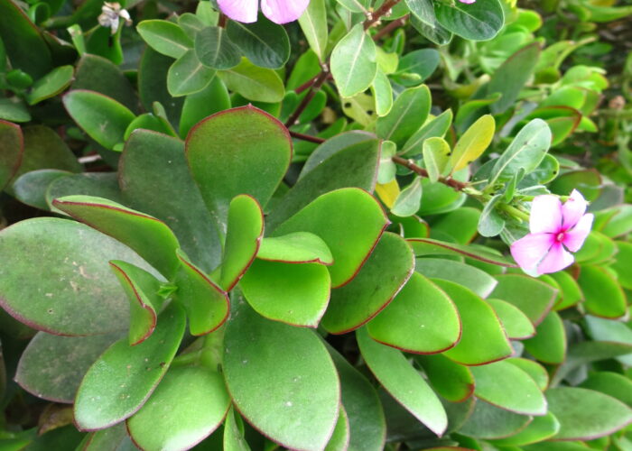 Africa Learning tour