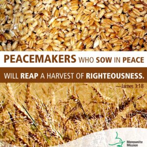 Peacemakers who sow in peace