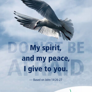 Peace I leave with you