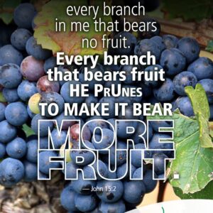 Pruned for a purpose