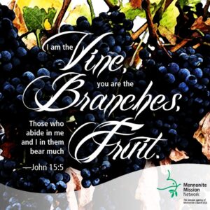 I am the vine