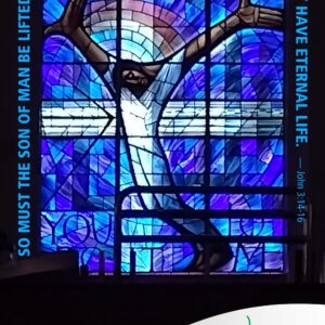 The Son of Man must be lifted up