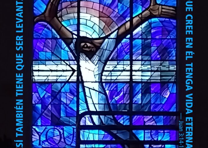 Ser levantado el Hijo del Hombre