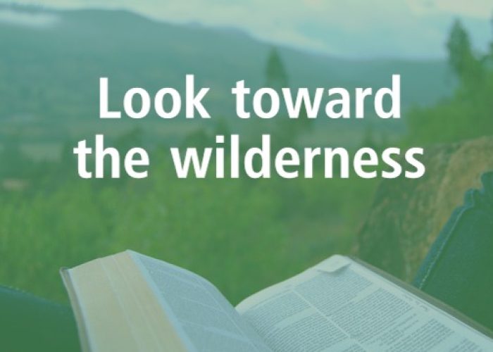 Missional Meditations