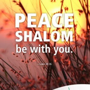 Peace