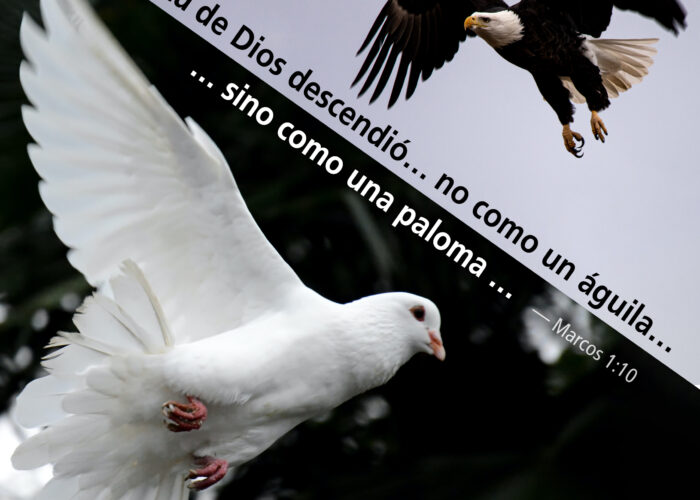 El Espíritu de Dios como una paloma