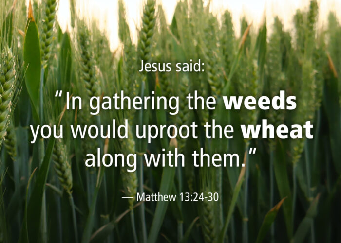 Judgment is God's business