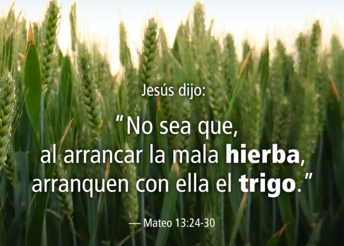 Juzgar es asunto de Dios