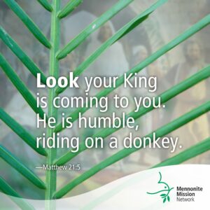 The King is coming
