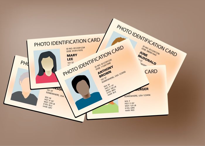 PHOTOIDGRAHIC