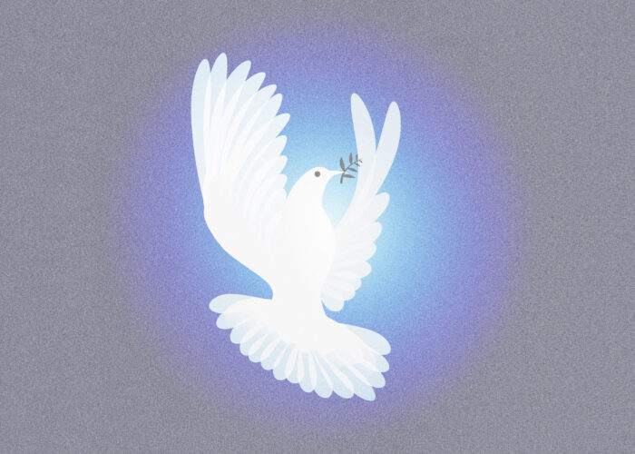 Peace dove