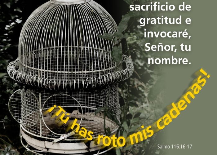 Psalm116_16-17_sp copy