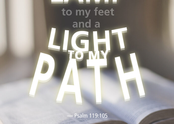 Your word lights my path