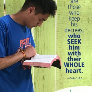 Seeking God with your whole heart