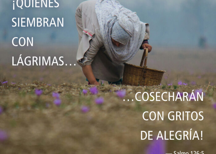 Quienes siembran con lágrimas