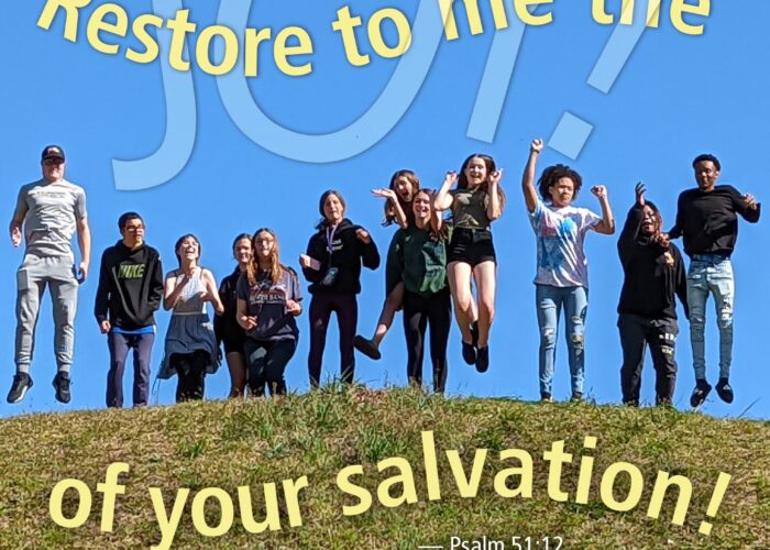 Joy of your salvation