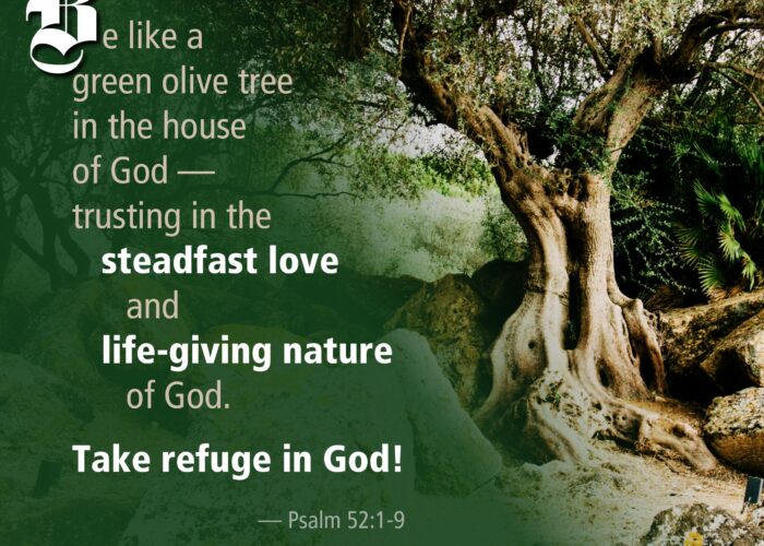 Psalm52_1-9 copy