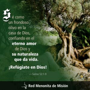 Psalm52_1-9_sp copy