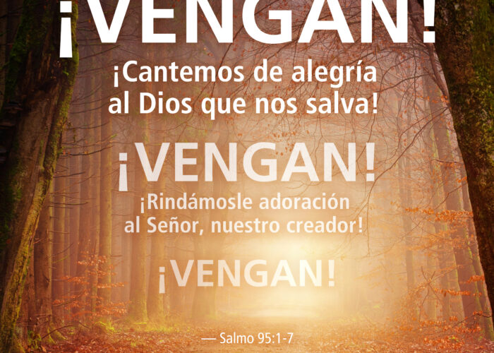 Vengan