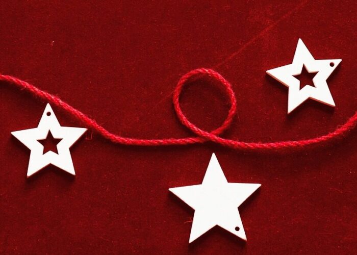 Red joanna-kosinska-h2O_jHvjfIM-unsplash copy