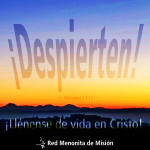 Despierten